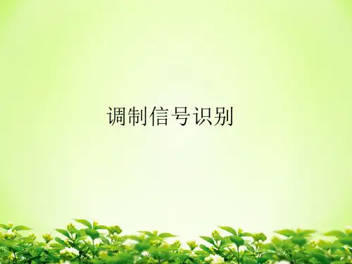 调制信号识别