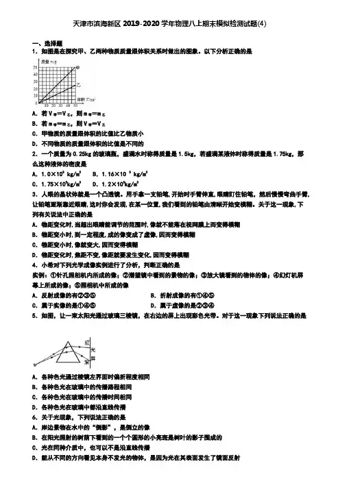 天津市滨海新区2019-2020学年物理八上期末模拟检测试题(4)