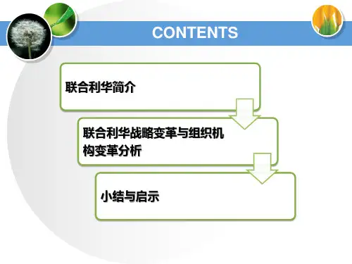 联合利华战略与组织结构变革共17页