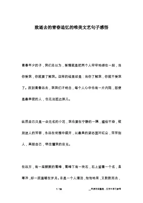 致逝去的青春追忆的唯美文艺句子感悟