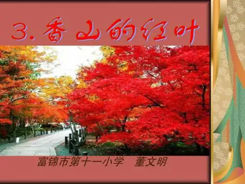 六年级香山的红叶
