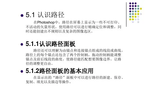 路径与形状工具的应用