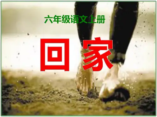 西师大六年级语文上册《 回家》课件