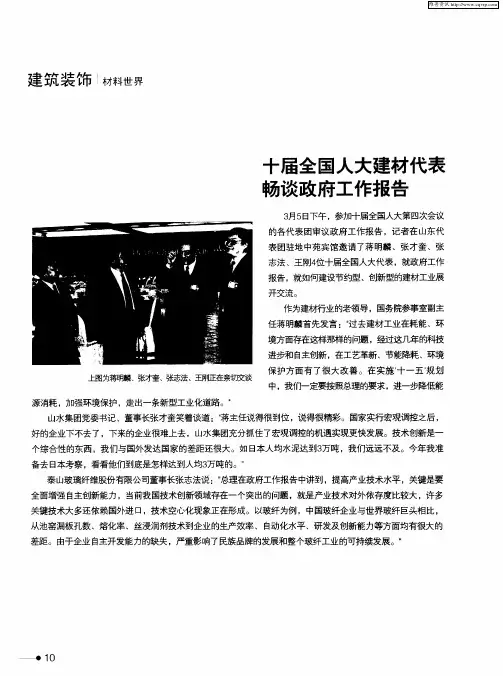 十届全国人大建材代表畅谈政府工作报告