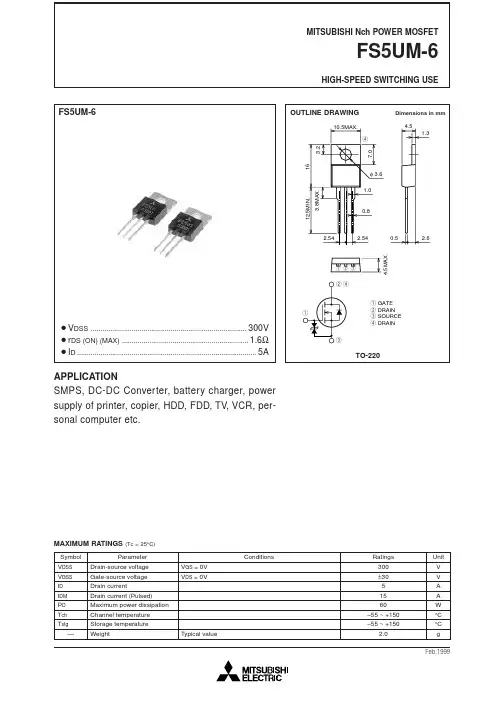 FS5UM-6中文资料