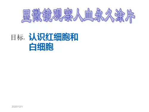 认识红细胞和白细胞