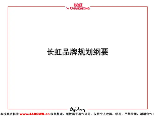 长虹品牌规划纲要