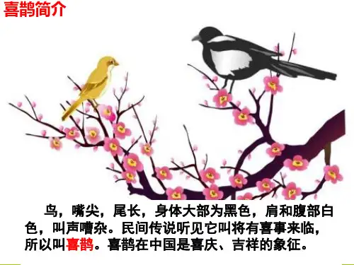 课文6《树和喜鹊》