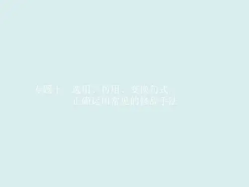 (十年高考指导)高三语文复习课件：专题十 选用、仿用、变换句式,正确运用常见的修辞手法(共45张PP