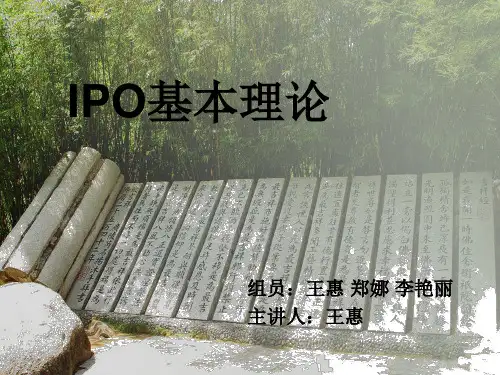 IPO基本理论(课堂PPT)