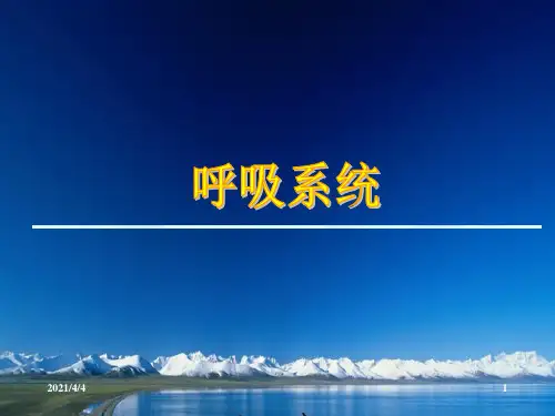呼吸病变PPT课件