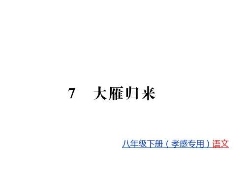 2020年春人教部编版八年级语文下册期末专题复习(孝感专用)7
