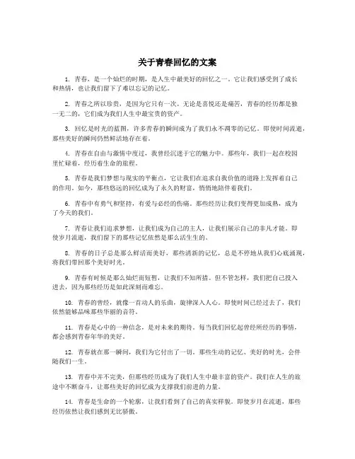 关于青春回忆的文案