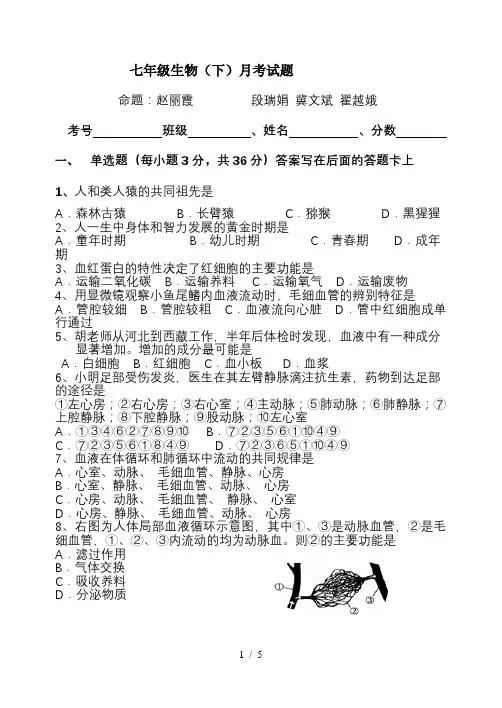 七年级生物(下)第二次月考