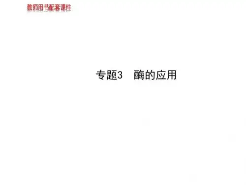 高三生物一轮复习课件:专题3酶的应用(人教选修1)