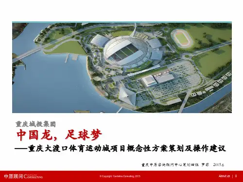 重庆_重庆大渡口体育运动城项目概念性方案
