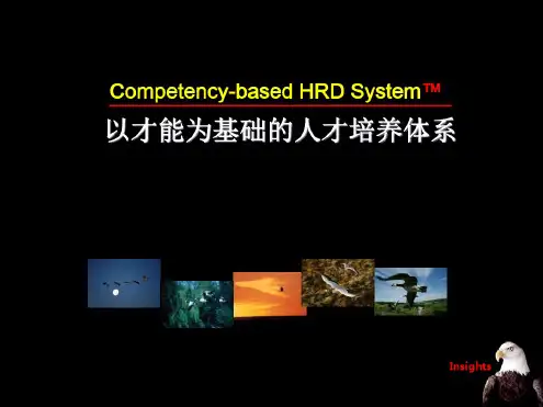 国际知名企业培训体系建设