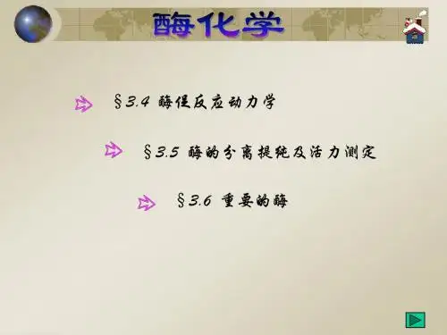 9第三章酶