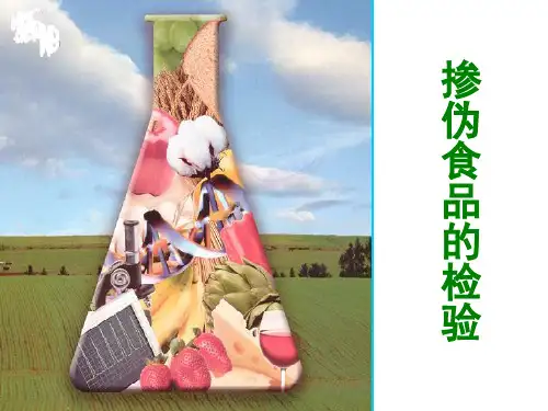 掺伪食品的检验.