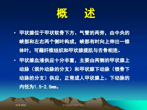 甲状腺癌的超声诊疗培训课件
