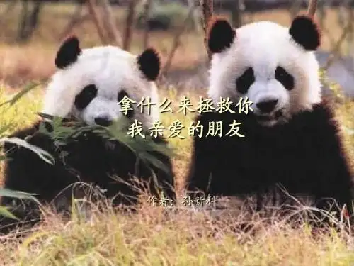 保护动物PPT