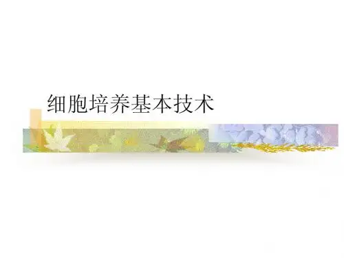 细胞培养基技术