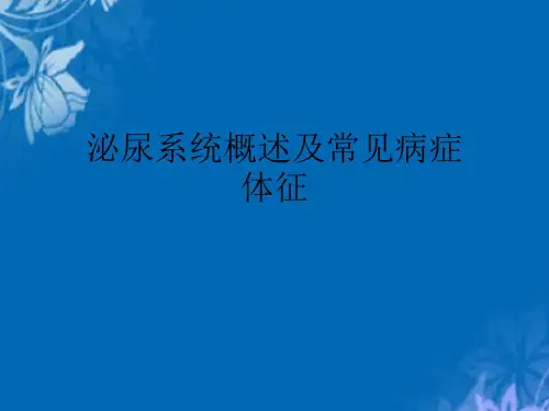 泌尿系统概述及常见症状体征
