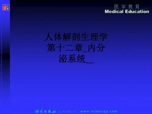 人体解剖生理学 第十二章内分泌系统ppt课件
