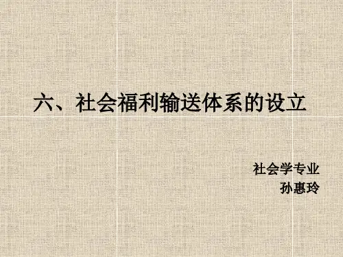 社会福利输送体系的设立