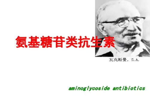 第41章 氨基糖苷类抗生素