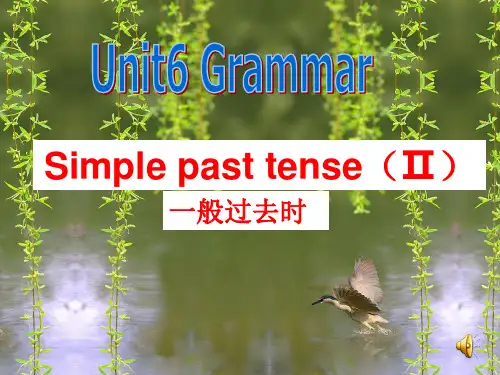 牛津译林版七年级英语下册unit 6 Grammar课件