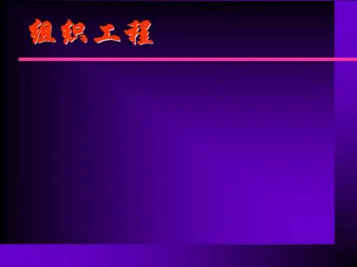 组织工程概述