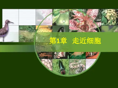 第一章第一节 从生物圈到细胞