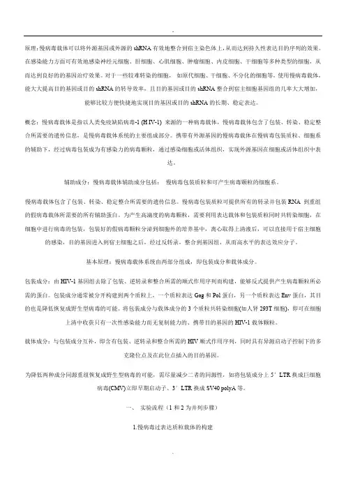 2019慢病毒载体包装构建过程