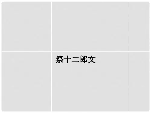 高中语文 5.3祭十二郎文课件 新人教版选修《中国古代诗歌散文欣赏》