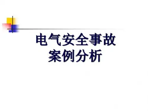 [最新]10起电气安全事故案例分析课件
