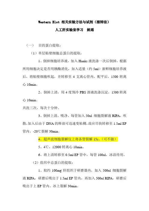 WB操作步骤-自己整理