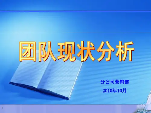 团队现状分析