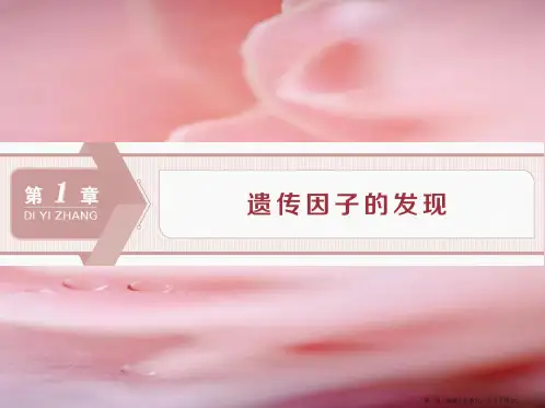 学年高中生物第1章遗传因子的发现第1节孟德尔的豌豆杂交实验一Ⅰ课件新人教版必修2