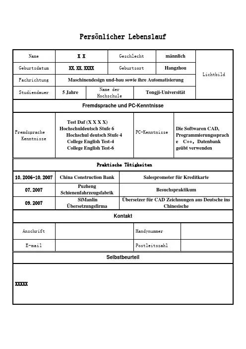 申请德国留学表格式个人简历模板