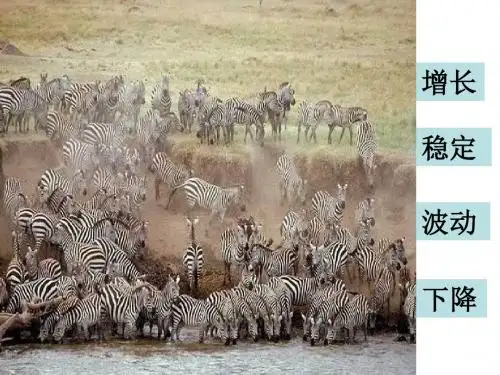 生物人教必修三《稳态与环境》4.2 种群数量变化 课件(共24张PPT)