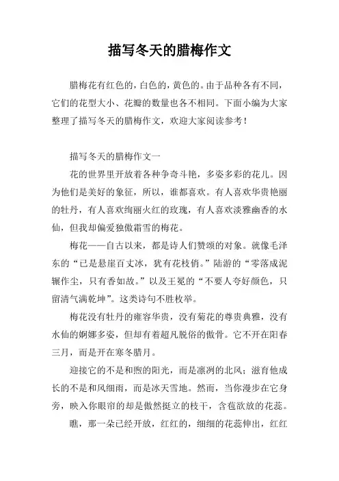 描写冬天的腊梅作文