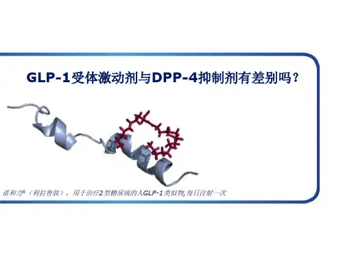 GLP-1与DPP-4对比