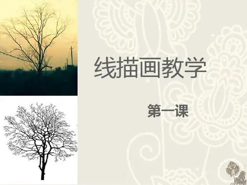 线描画教学PPT课件