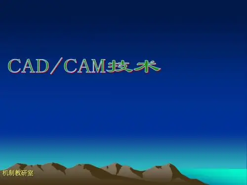 第五章 CAE