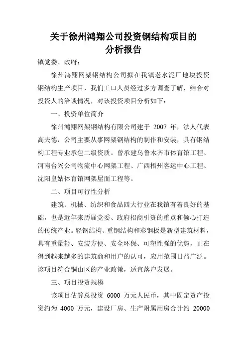 钢结构项目分析报告