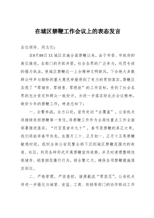 在城区禁鞭工作会议上的表态发言