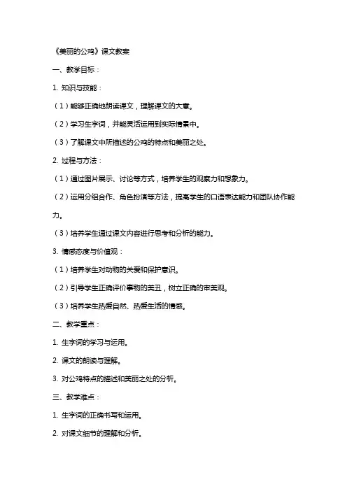 《美丽的公鸡》课文教案