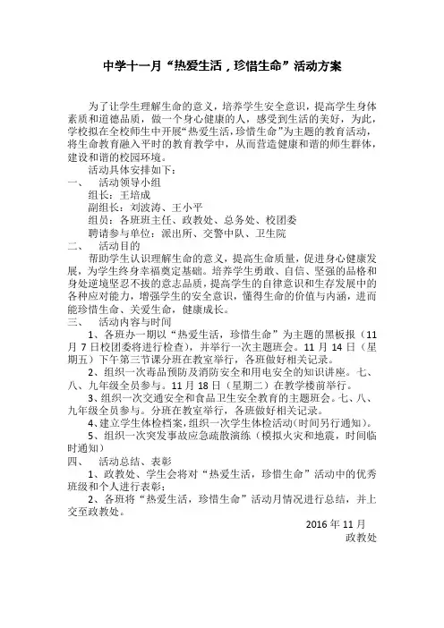 中学十一月德育主题活动方案