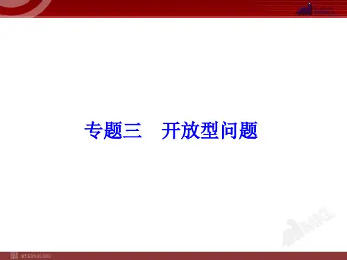 中考二轮专题复习PPT课件 专题3 开放型问题
